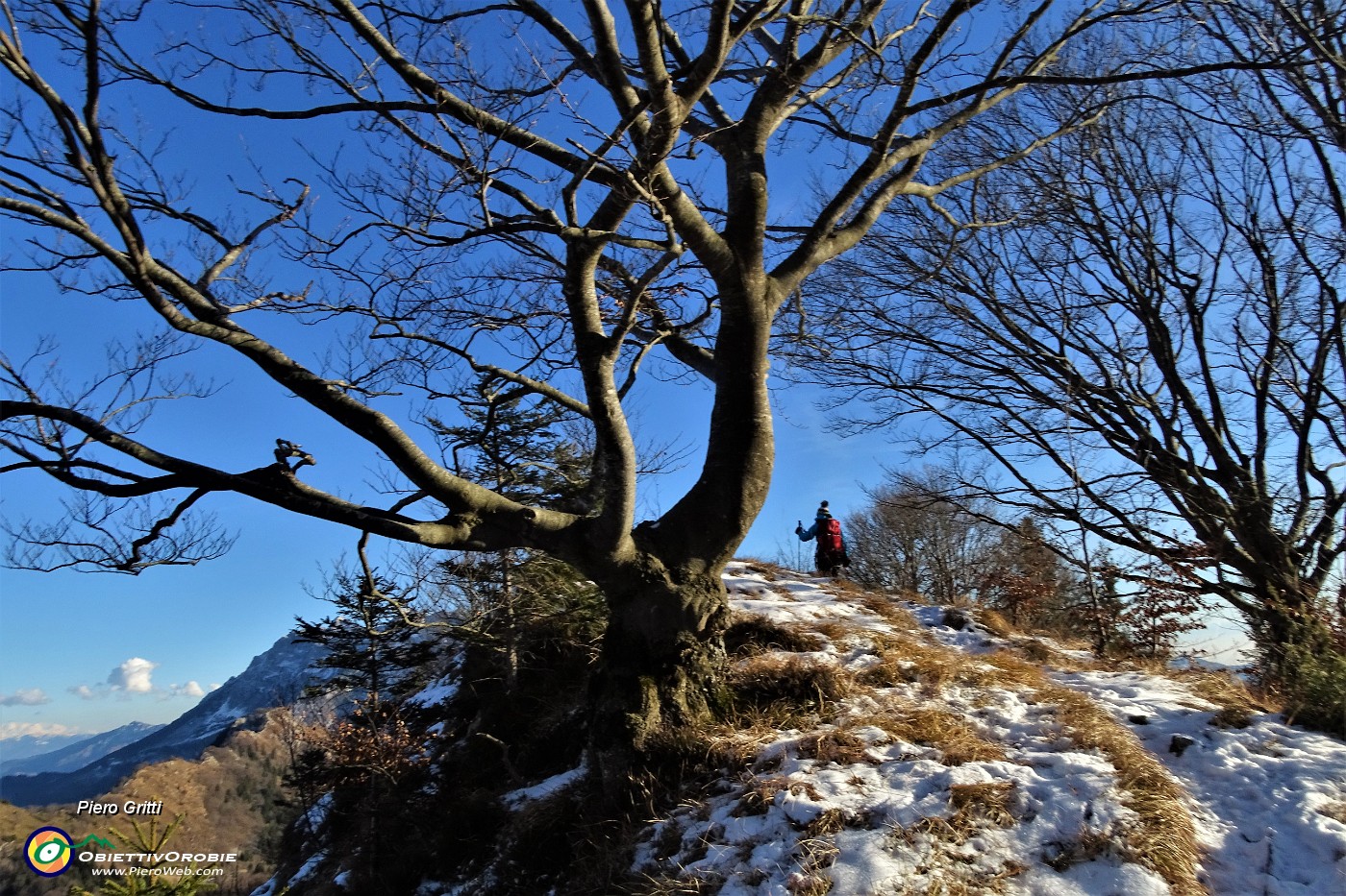 61 Rientriamo alla cima del Vaccareggio.JPG